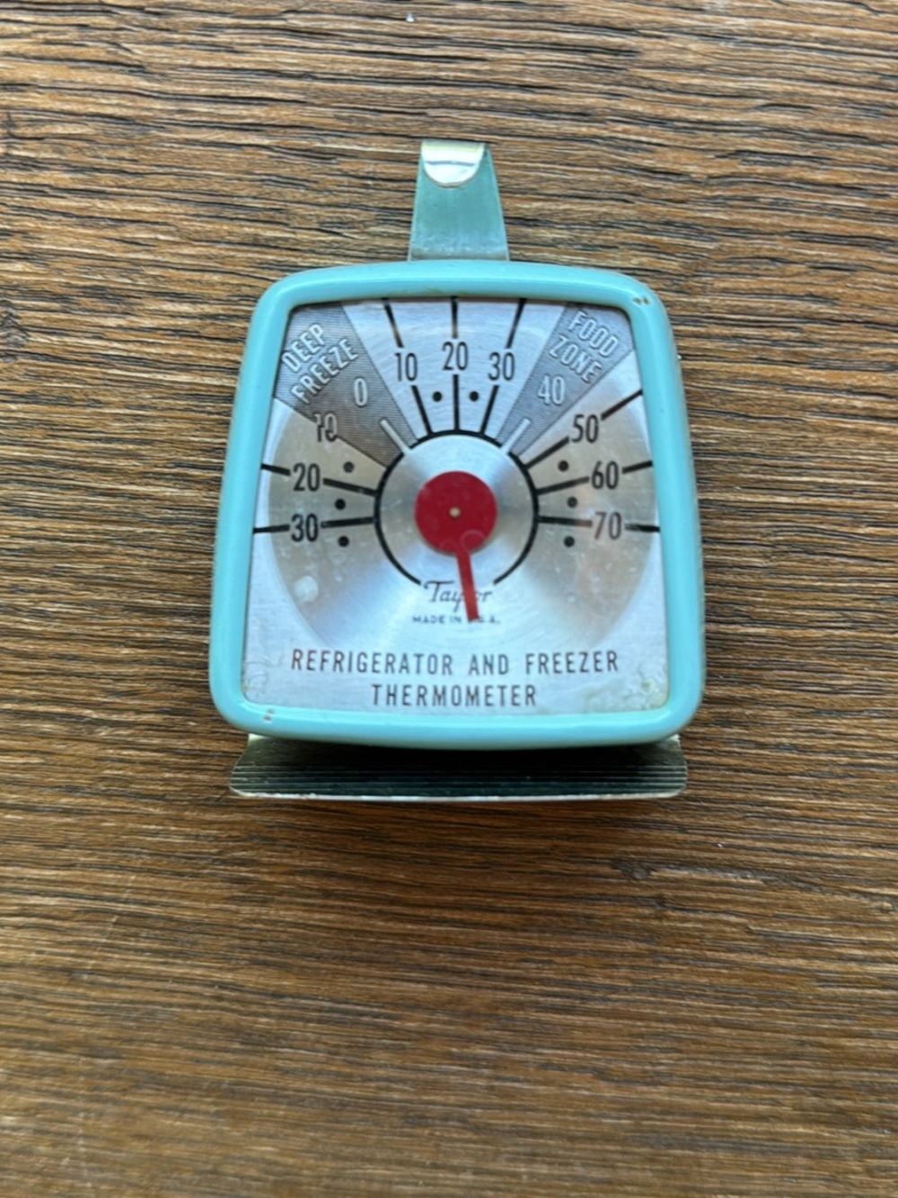 Taylor Aqua/Turquoise Refrigerator & Freezer Dial Thermometer